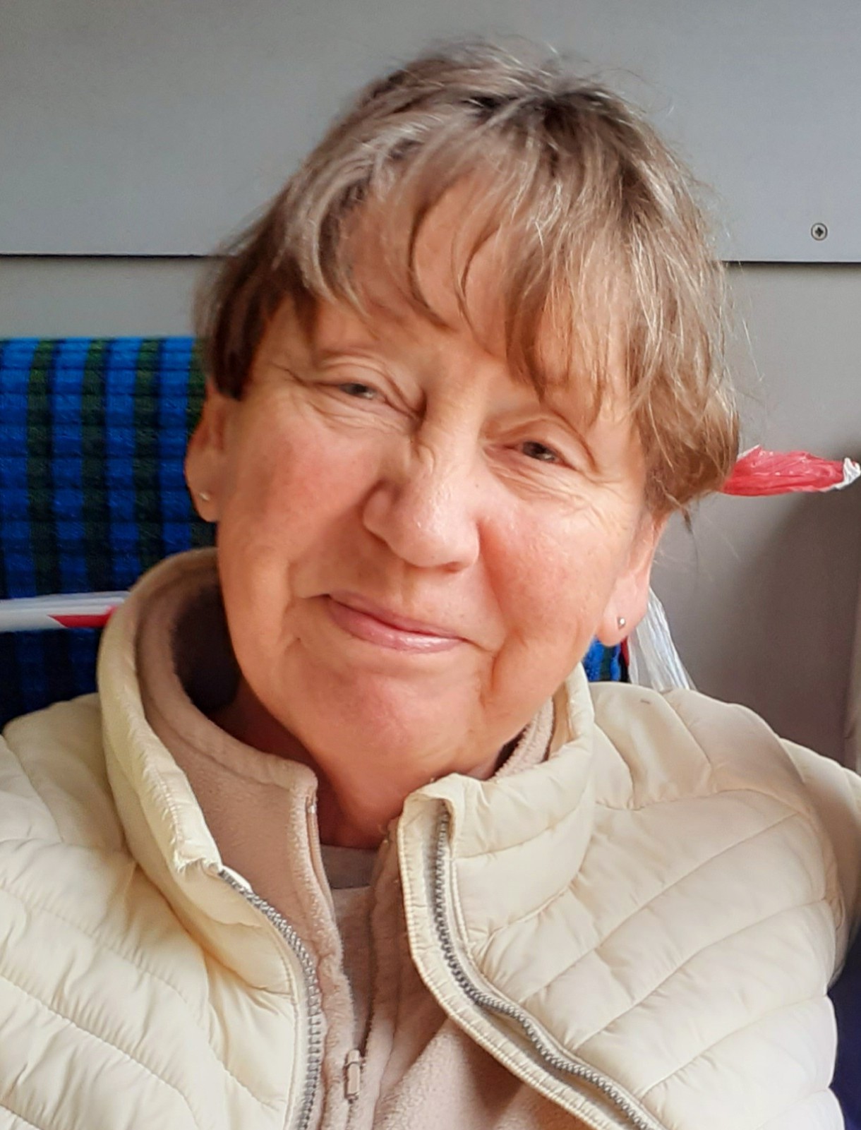 Susan Millward – Crystal Palace and Upper Norwood